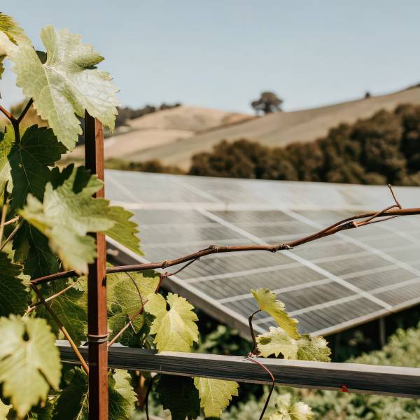 Réduire ses factures grâce à l'installation de panneaux solaires à Pessac en Gironde 